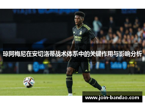 琼阿梅尼在安切洛蒂战术体系中的关键作用与影响分析