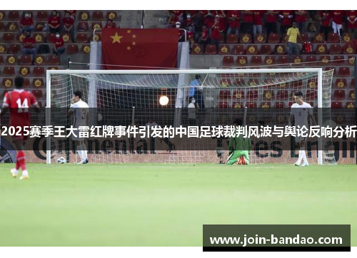 2025赛季王大雷红牌事件引发的中国足球裁判风波与舆论反响分析