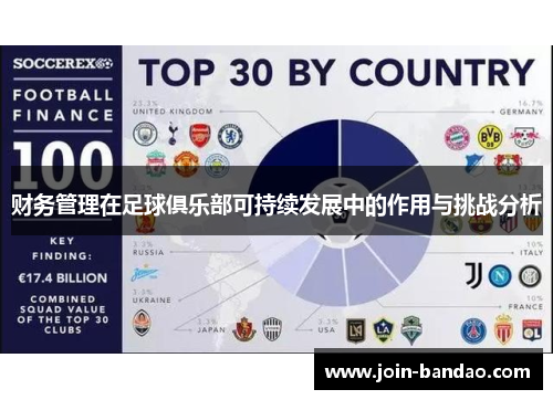 财务管理在足球俱乐部可持续发展中的作用与挑战分析